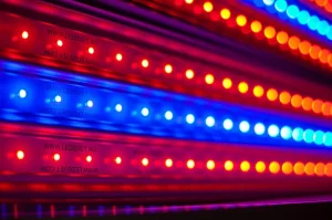 Светодиодный светильник УСС 90 Д БИО