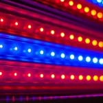 Светодиодный светильник УСС 45 Д БИО