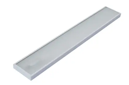 Diora NPO
