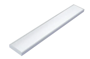 Diora NPO SE