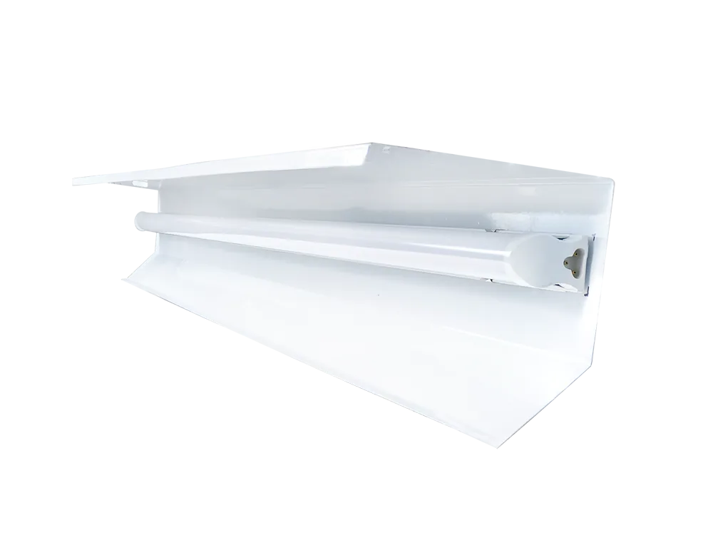 Diora Wing