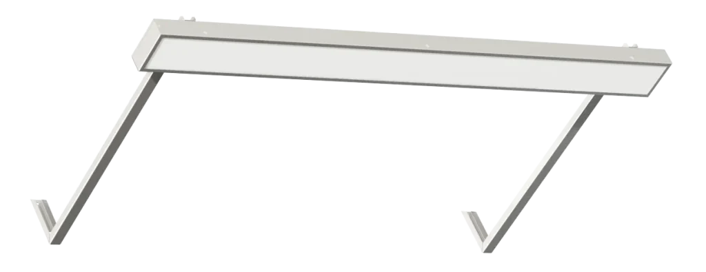 Diora Plank