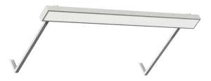 Diora Plank