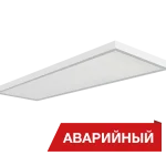 Diora NPO Flat