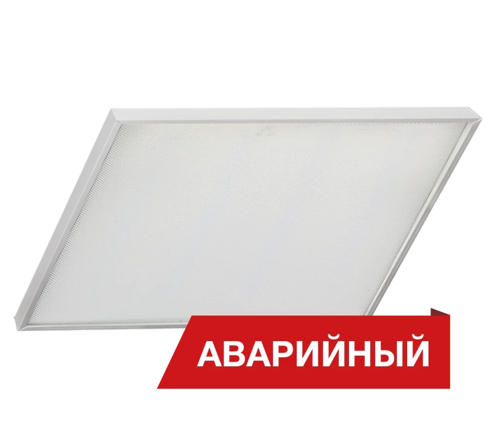 Diora Office SE A NEU