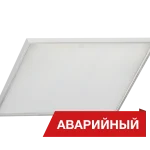 Diora Office SE A NEU