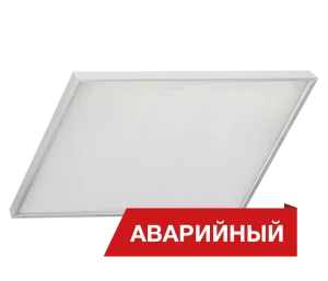 Diora Office SE A NEU