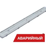 Diora LPO/LSP SE