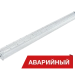 Diora Piton Glass
