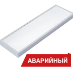 Diora NPO Mini