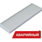 Diora NPO SE Mini