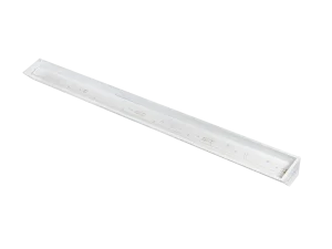 Diora R-tail
