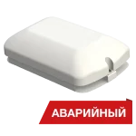 Diora Луна Eco