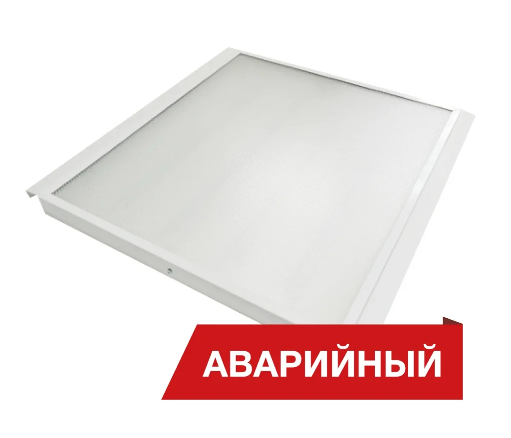Diora Office Clip
