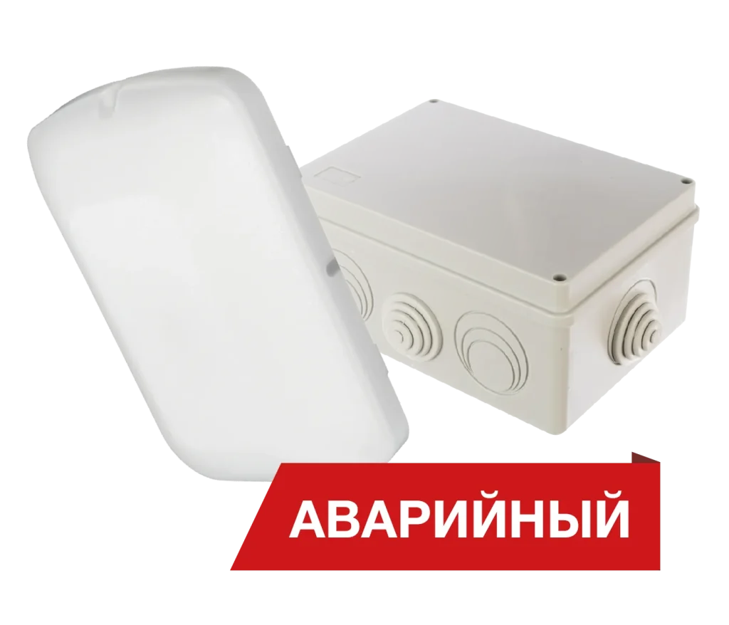 Diora Луна Eco Box
