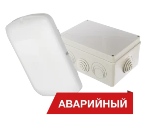 Diora Луна Eco Box