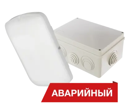 Diora Луна Eco Box