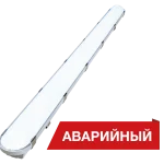 Diora Stick
