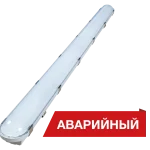 Diora Stick