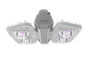Pandora LED 605 PN-240