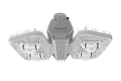 Pandora LED 605 PN-240